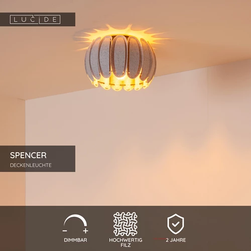 Lucide SPENCER - Deckenleuchte - Ø 30 cm - 1xE27 - Grau - USP
